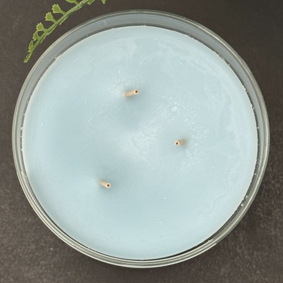 BBW Fresh Spring Morning Bath & Body Works 3 Wick Candle - Picture 7 of 10